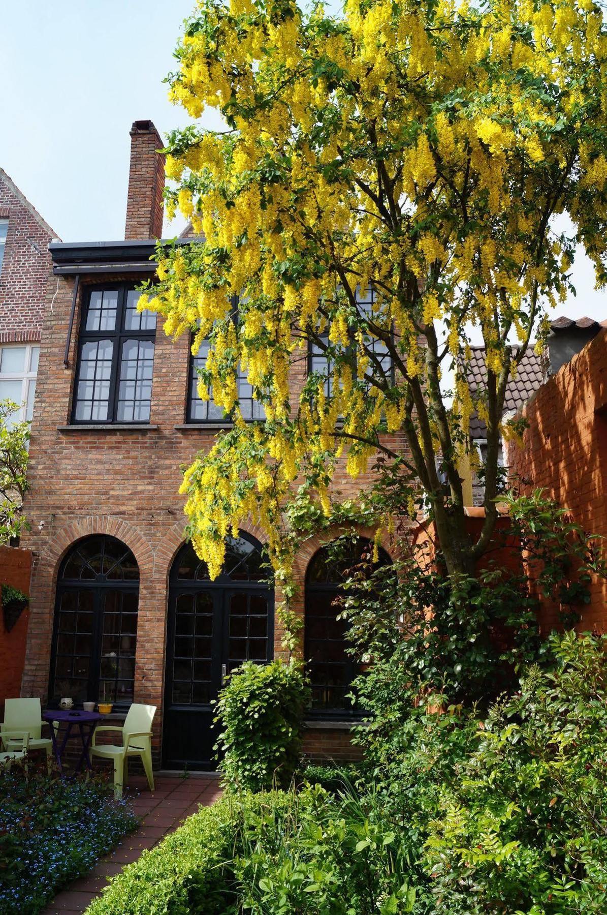 B&B Next Door Brugge Kültér fotó